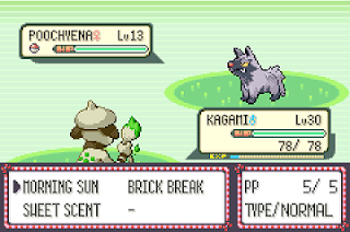 Pokemon Emerald Party Randomizer Plus