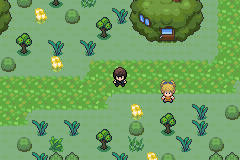 Pokemon Verde Musgo