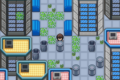 Pokemon Verde Musgo