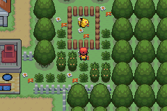 Pokemon Mega Evolution GBA