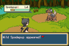 Pokemon Noon