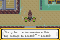 Pokemon Noon