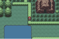Pokemon Navyblue