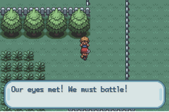 Pokemon Navyblue