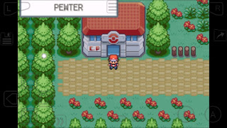 Pokemon New Era