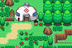 DBZ Legend Of Kakarot GBA
