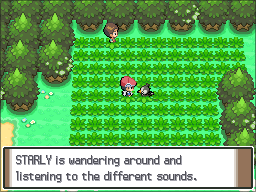 Pokemon Following Platinum NDS ROM