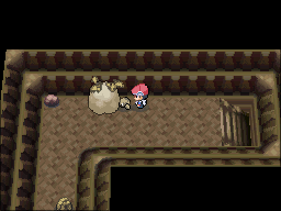 Pokemon Following Platinum NDS ROM