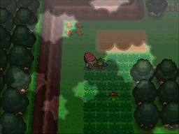 Pokemon Following Platinum NDS ROM