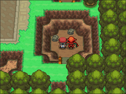 Pokemon Following Platinum NDS ROM