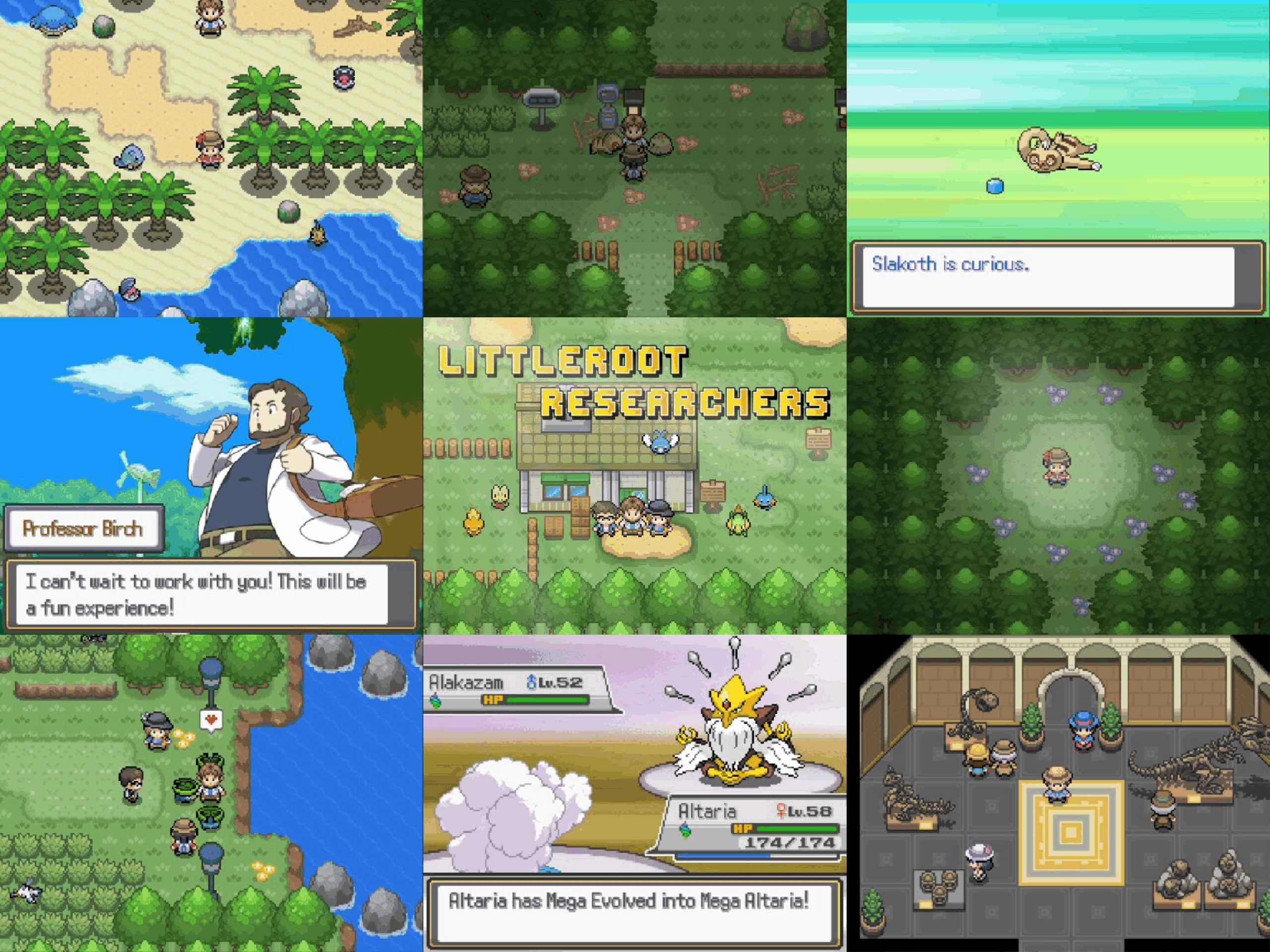 Pokemon Littleroot Researchers