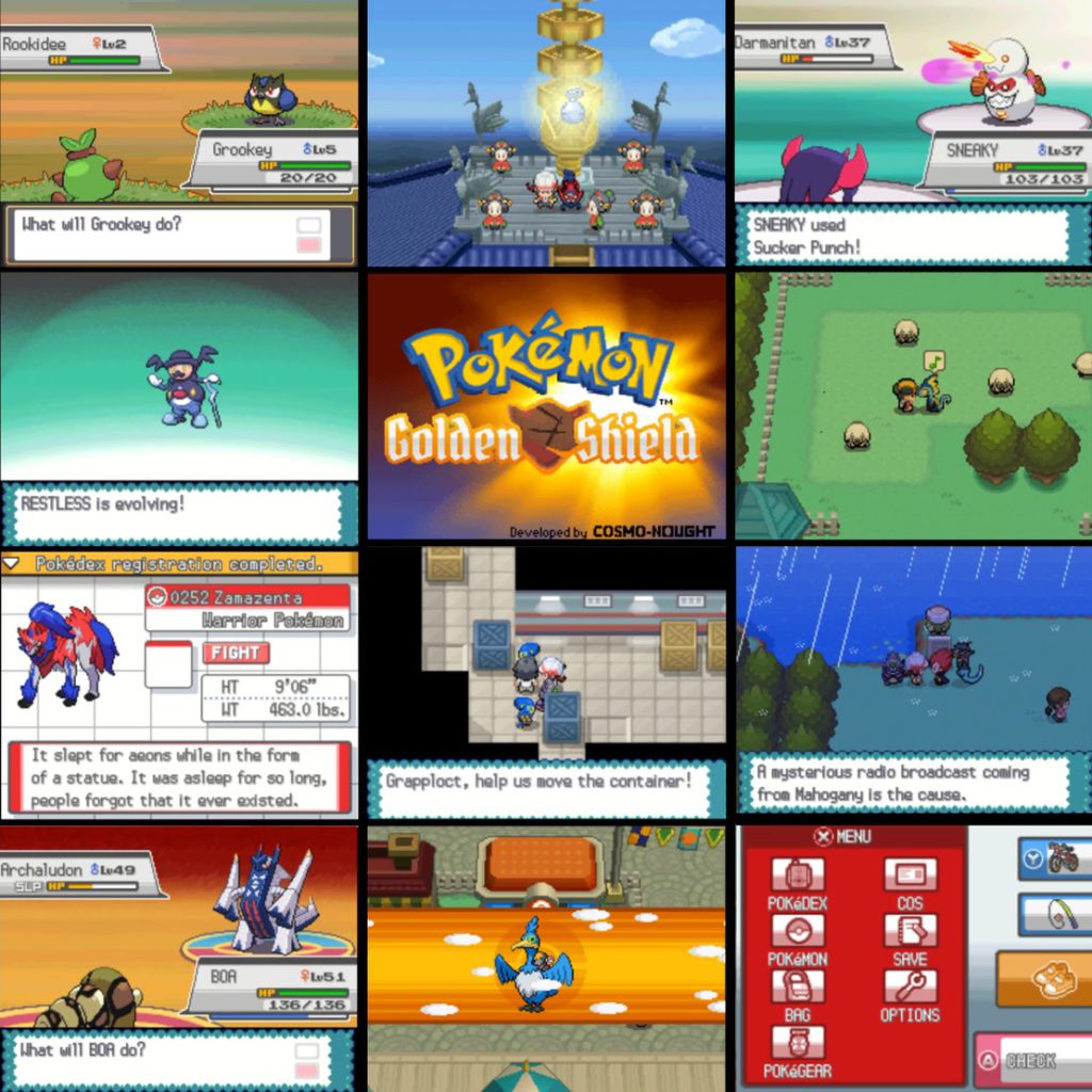 Pokemon Golden Shield NDS