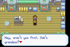 Pokemon Gary's Mod