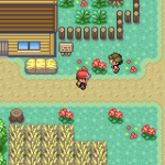 Pokemon Aurora
