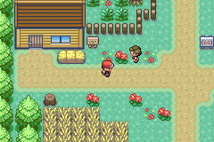 Pokemon Aurora