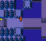 Pokemon Christmas