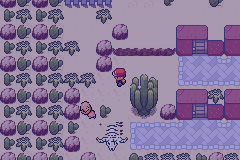 Pokemon Desert Version