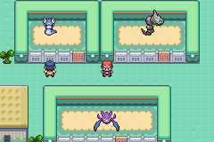 Pokémon FireRed Distorted - ROM - GBA ROM Hacks - Project Pokemon