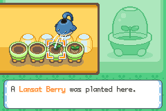Berry Drinks - Pokemon Saffron Version