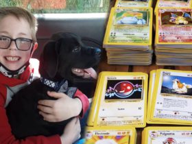 Boy Sells Pokemon Cards to Save Puppy