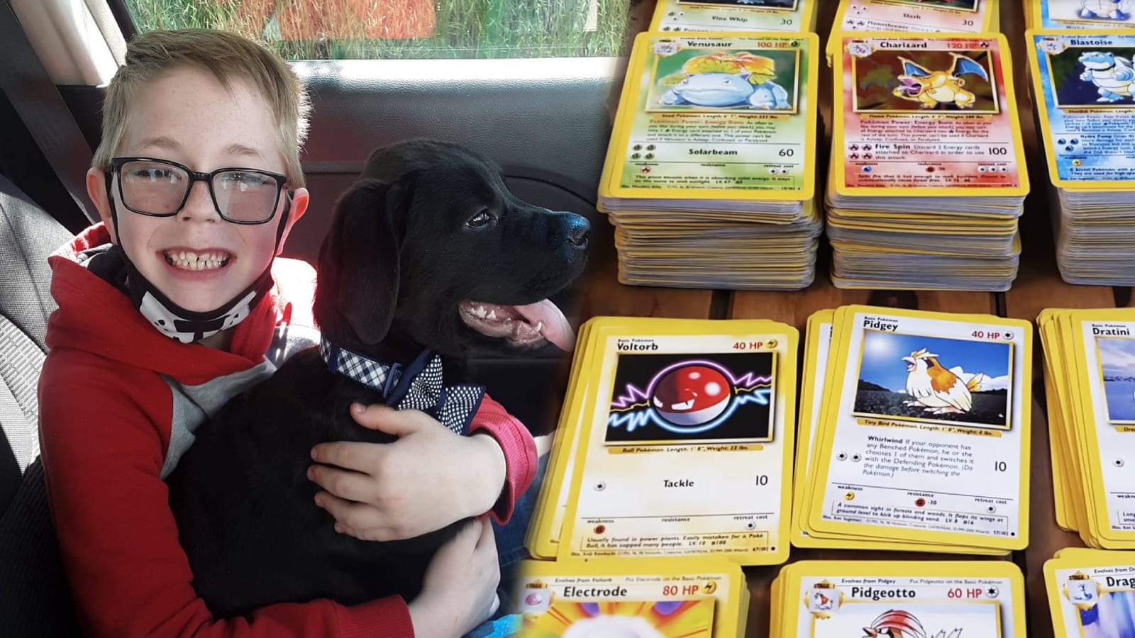 Boy Sells Pokemon Cards to Save Puppy