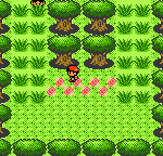 Pokemon Pyrite