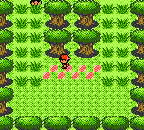 Pokemon Pyrite