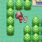 Pokemon Tree of Time