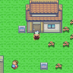 The True Pokemon Saga Hack Series