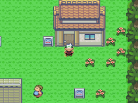 The True Pokemon Saga Hack Series