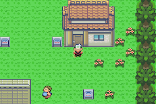 The True Pokemon Saga Hack Series