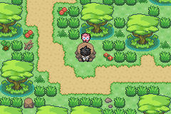 Pokemon Lionheart GBA