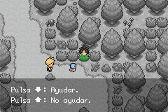Pokemon Lionheart GBA
