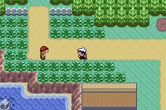 Pokemon Vortex (Sapphire Hack) (Sapphire Hack) <span class=label