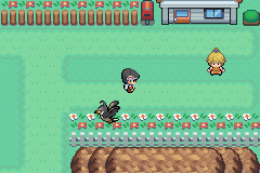 JOGANDO - Pokémon Dark Workship, •, Wiki