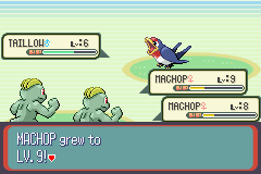 Pokemon Double Battle