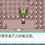 Pokemon Evil World