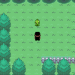 Pokemon Flaze