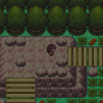 Pokemon Hack