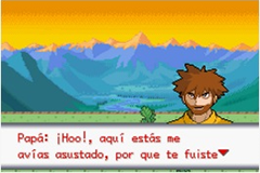 Pokemon Justicieros
