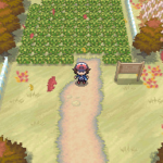 Pokemon Vintage White