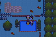 Pokemon Scandal Live Tour