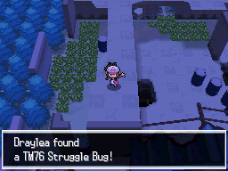 Pokemon Blaze Black