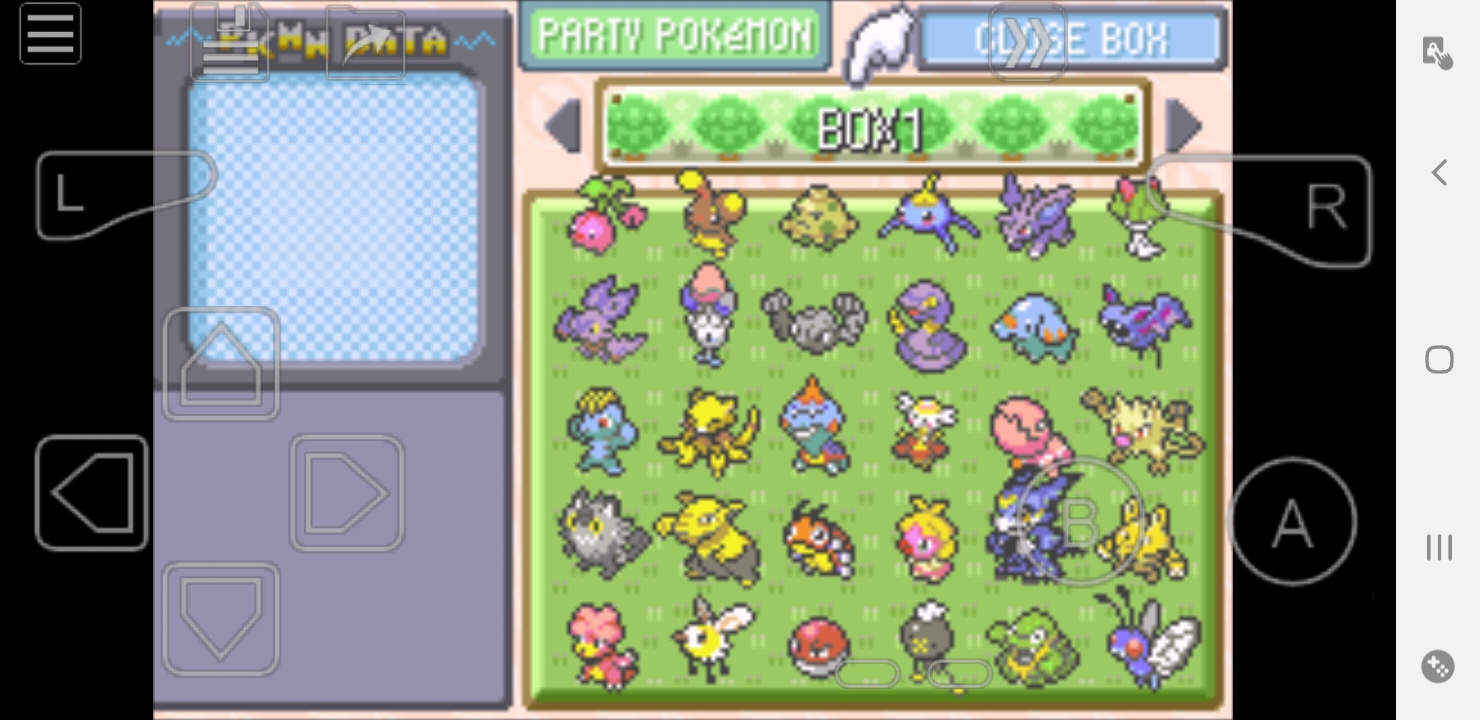 Pokemon Spiral Root