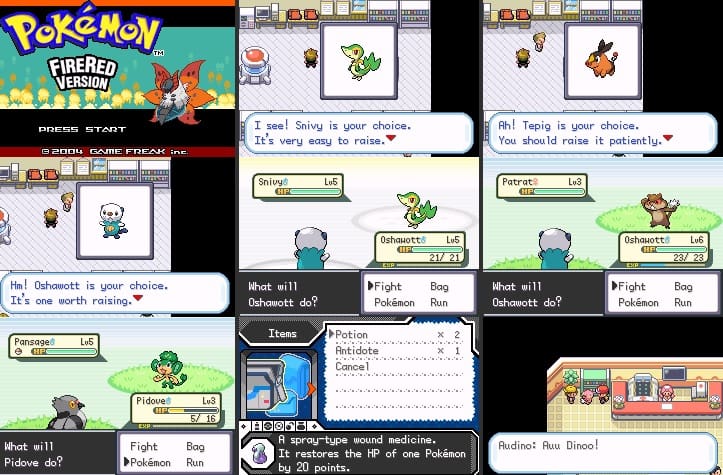 Unova Rpg Hack lvl 100 