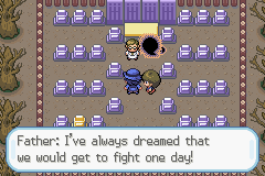 Pokemon Cursed Version GBA