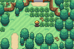 Pokemon Mugiwara (Pokemon One Piece) GBA