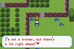 Pokemon Beta Gold Remake GBA