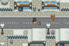 Pokemon Saffron Version GBA