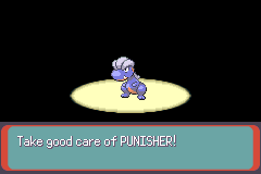 Pokemon Dual Type Emerald GBA